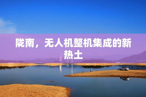 陇南，无人机整机集成的新热土