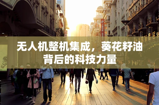 无人机整机集成，葵花籽油背后的科技力量