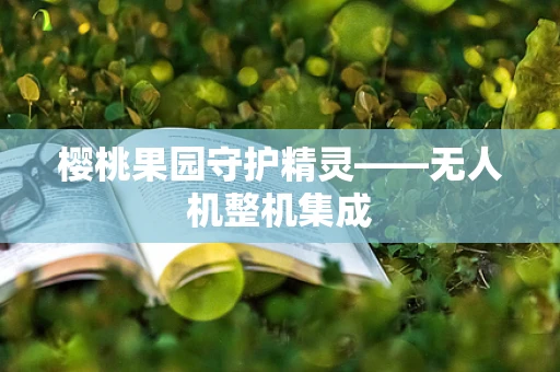 樱桃果园守护精灵——无人机整机集成