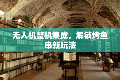 无人机整机集成，解锁烤鱼串新玩法