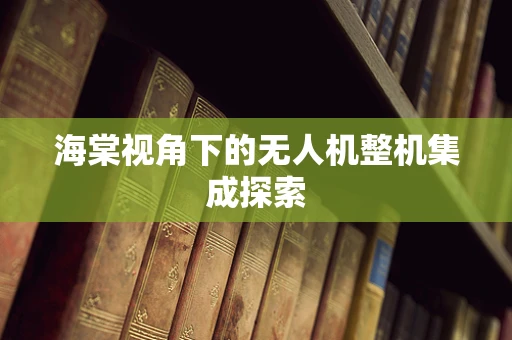 海棠视角下的无人机整机集成探索