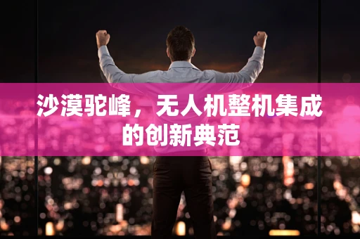 沙漠驼峰，无人机整机集成的创新典范