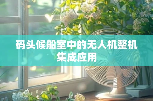 码头候船室中的无人机整机集成应用