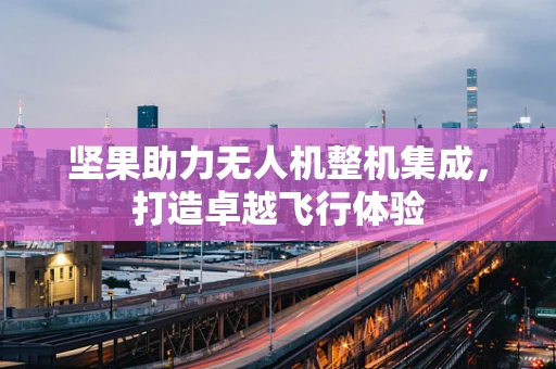 坚果助力无人机整机集成，打造卓越飞行体验