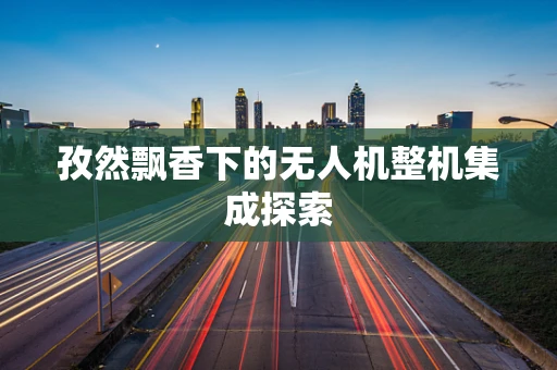 孜然飘香下的无人机整机集成探索