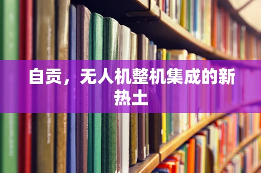 自贡，无人机整机集成的新热土