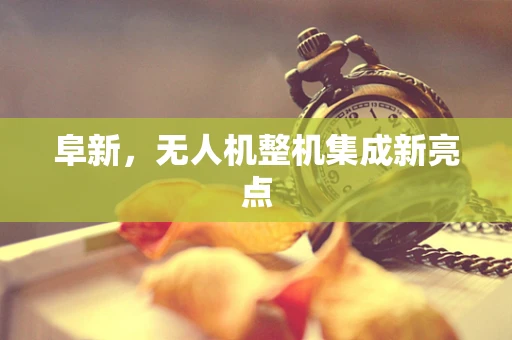 阜新，无人机整机集成新亮点