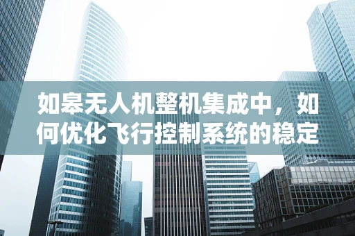 如皋无人机整机集成中，如何优化飞行控制系统的稳定性与效率？