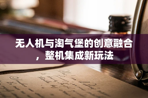 无人机与淘气堡的创意融合，整机集成新玩法