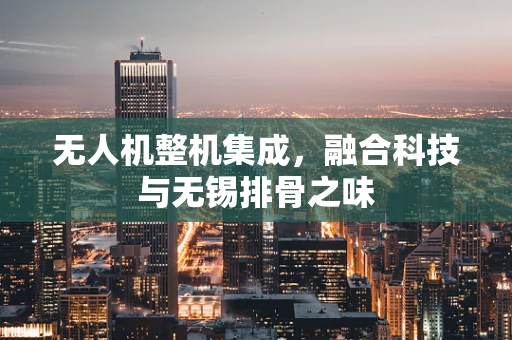 无人机整机集成，融合科技与无锡排骨之味