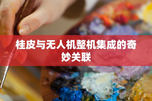 桂皮与无人机整机集成的奇妙关联