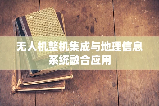 无人机整机集成与地理信息系统融合应用