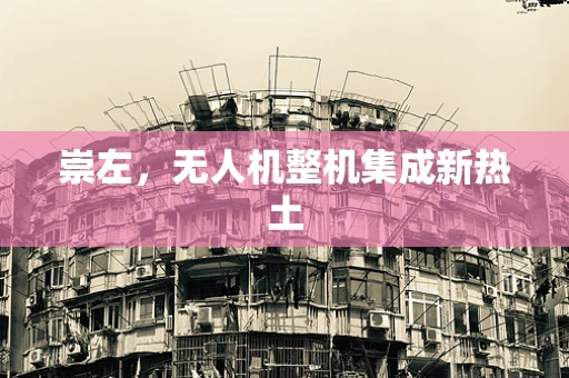 崇左，无人机整机集成新热土