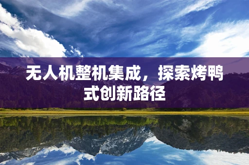 无人机整机集成，探索烤鸭式创新路径