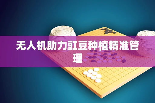 无人机助力豇豆种植精准管理