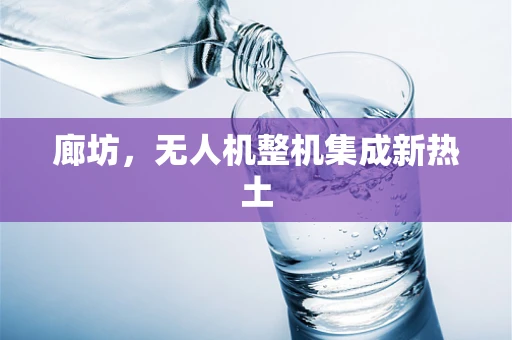 廊坊，无人机整机集成新热土