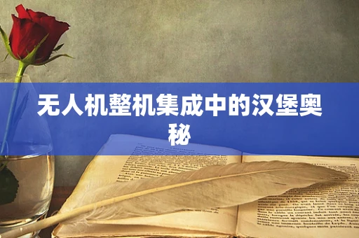 无人机整机集成中的汉堡奥秘