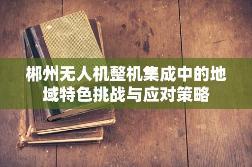 郴州无人机整机集成中的地域特色挑战与应对策略