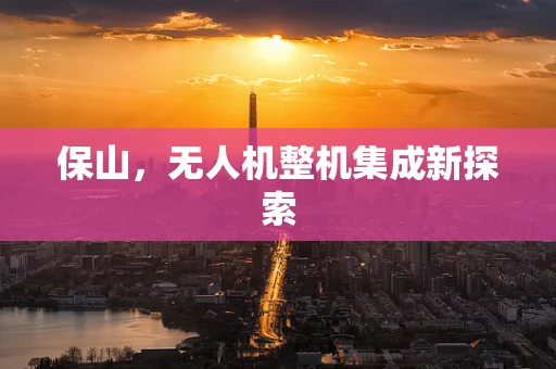 保山，无人机整机集成新探索