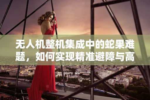 无人机整机集成中的蛇果难题，如何实现精准避障与高效任务执行？