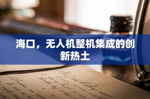 海口，无人机整机集成的创新热土