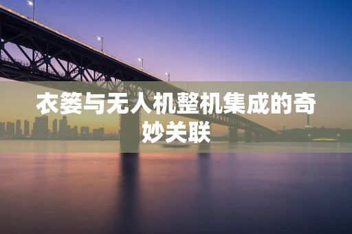 衣篓与无人机整机集成的奇妙关联