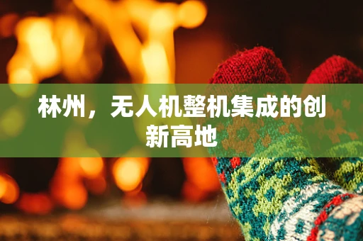 林州，无人机整机集成的创新高地