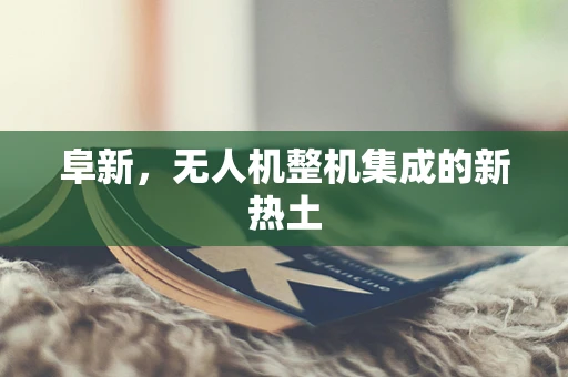 阜新，无人机整机集成的新热土