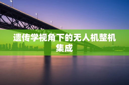 遗传学视角下的无人机整机集成