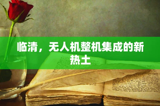 临清，无人机整机集成的新热土