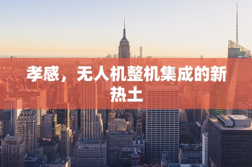 孝感，无人机整机集成的新热土