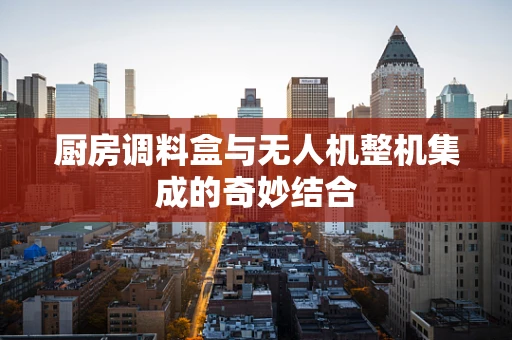 厨房调料盒与无人机整机集成的奇妙结合