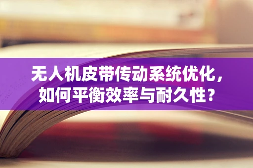 无人机皮带传动系统优化，如何平衡效率与耐久性？
