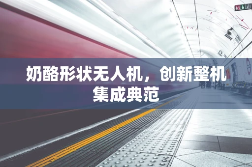 奶酪形状无人机，创新整机集成典范