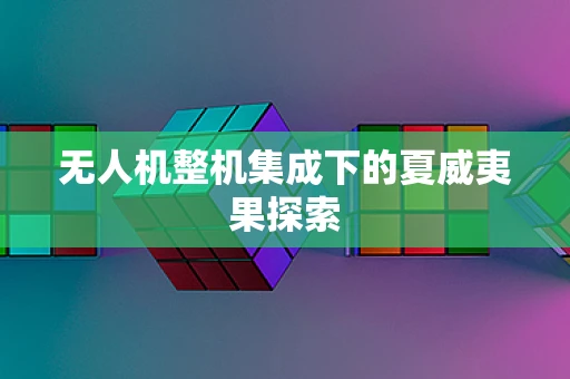 无人机整机集成下的夏威夷果探索