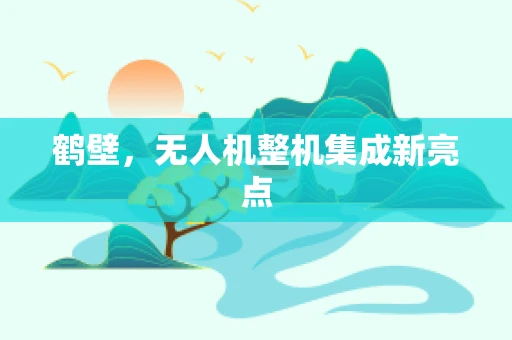 鹤壁，无人机整机集成新亮点
