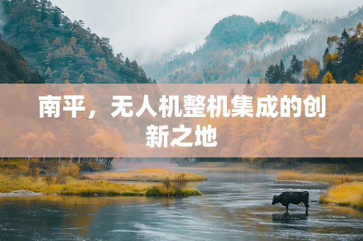 南平，无人机整机集成的创新之地