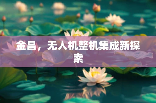 金昌，无人机整机集成新探索