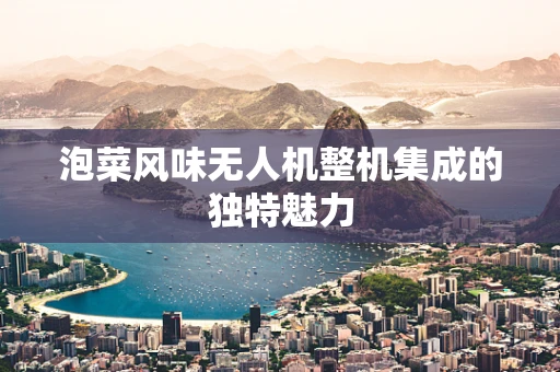泡菜风味无人机整机集成的独特魅力