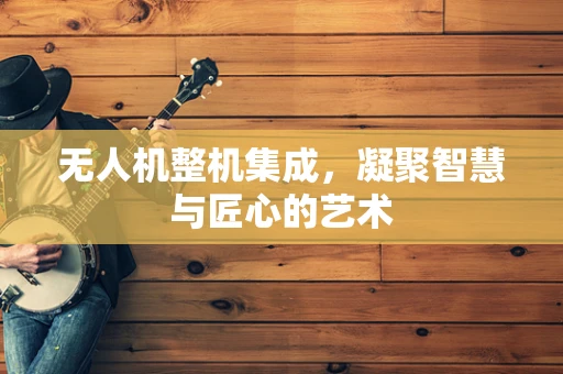 无人机整机集成，凝聚智慧与匠心的艺术