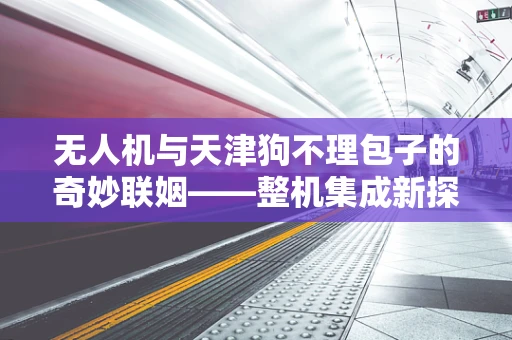 无人机与天津狗不理包子的奇妙联姻——整机集成新探索