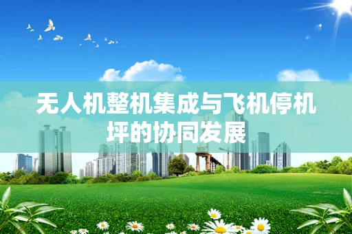 无人机整机集成与飞机停机坪的协同发展
