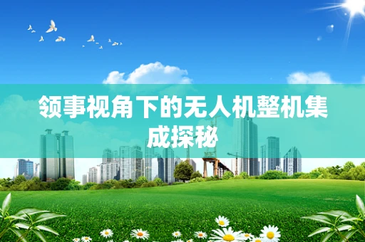 领事视角下的无人机整机集成探秘