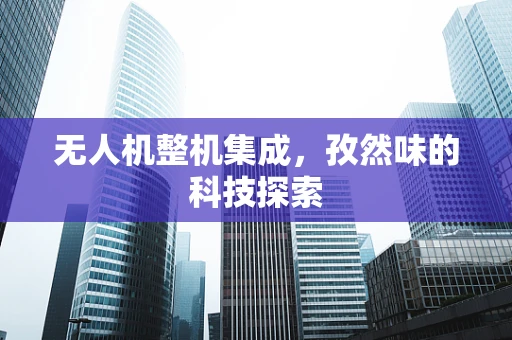 无人机整机集成，孜然味的科技探索