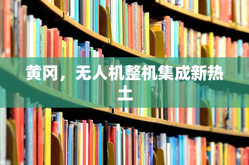 黄冈，无人机整机集成新热土