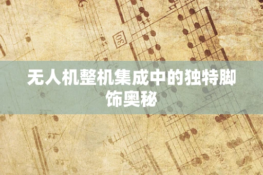 无人机整机集成中的独特脚饰奥秘