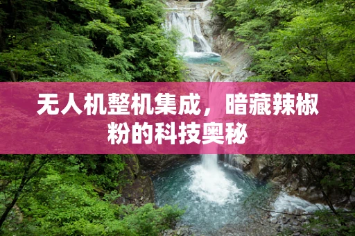 无人机整机集成，暗藏辣椒粉的科技奥秘
