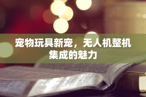宠物玩具新宠，无人机整机集成的魅力