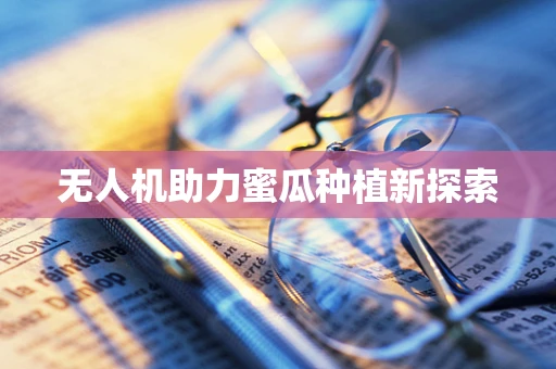 无人机助力蜜瓜种植新探索