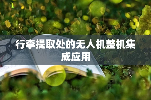 行李提取处的无人机整机集成应用